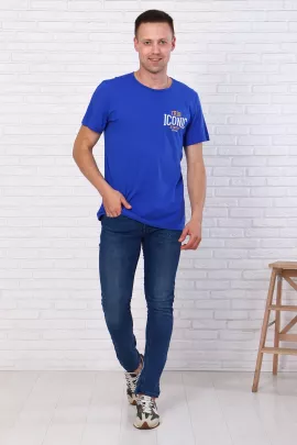 Футболка мужская 7309 (василек)