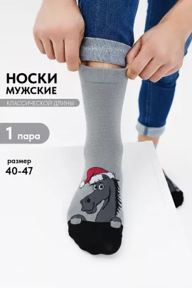 Носки мужские Лукас