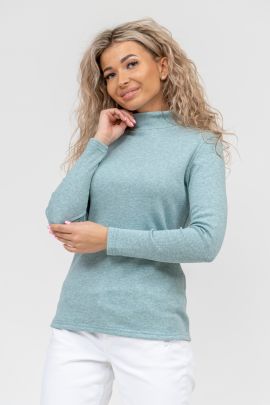 Водолазка 67534