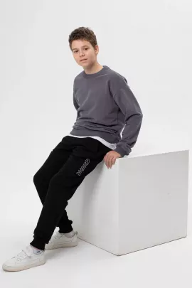 Брюки спортивные легкие БФ02