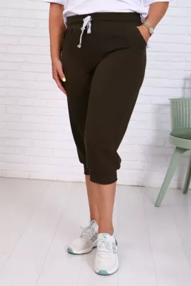 Бриджи Ричи-Хаки