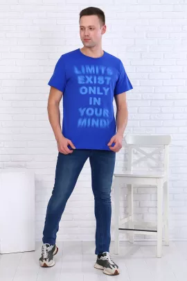 Эрик (василёк) футболка