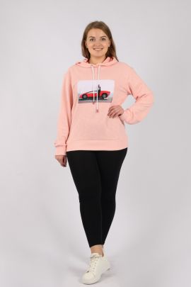 № 1253/4 Толстовка